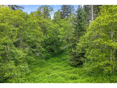 91 Rancho Del Oro Stevenson WA 98648
