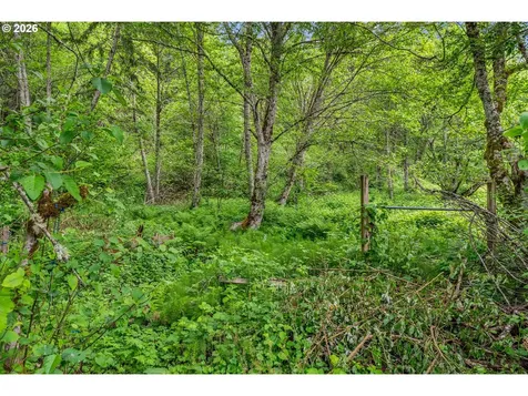 91 Rancho Del Oro Stevenson WA 98648