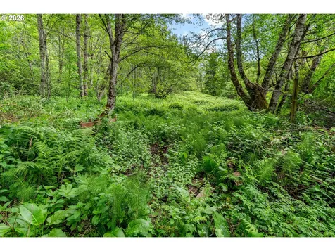 91 Rancho Del Oro Stevenson WA 98648
