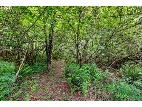 91 Rancho Del Oro Stevenson WA 98648