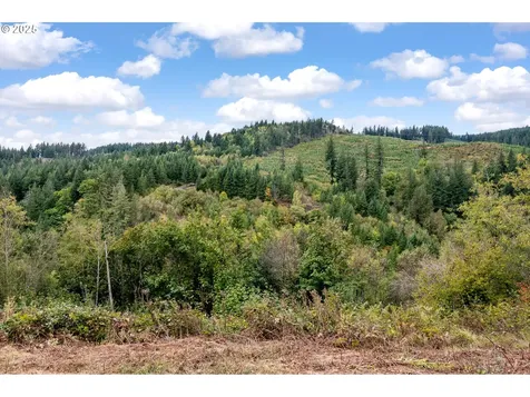 0000 NE 5th Street Washougal WA 98671