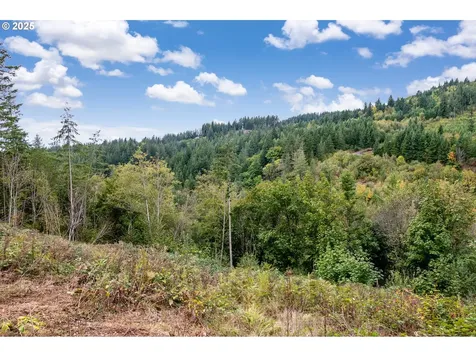 0000 NE 5th Street Washougal WA 98671