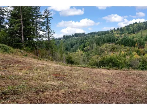 0000 NE 5th Street Washougal WA 98671