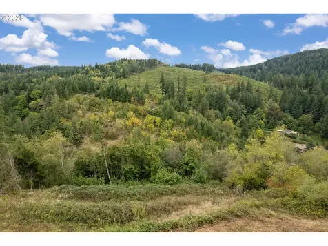 0000 NE 5th Street Washougal WA 98671