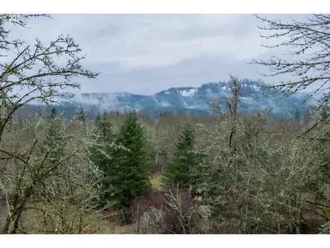 1453 45th Avenue Sweet Home OR 97386