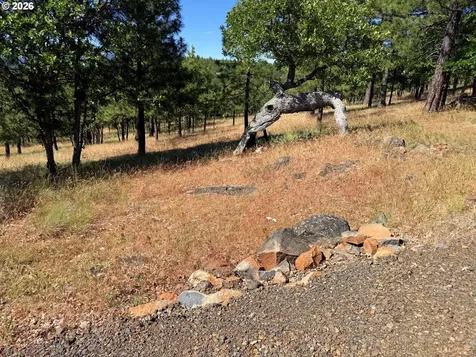 238 Chisholm Road Goldendale WA 98620