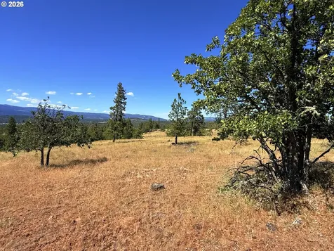 238 Chisholm Road Goldendale WA 98620