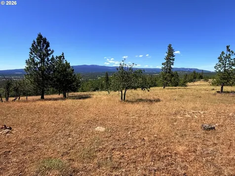238 Chisholm Road Goldendale WA 98620