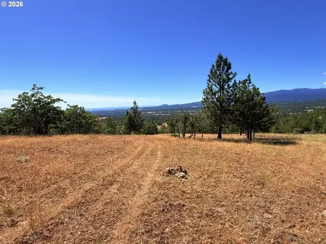 238 Chisholm Road Goldendale WA 98620