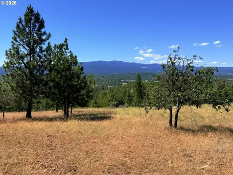 238 Chisholm Road Goldendale WA 98620