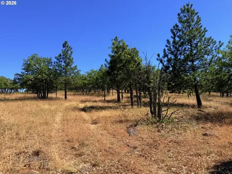 238 Chisholm Road Goldendale WA 98620