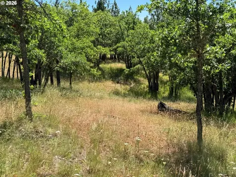238 Chisholm Road Goldendale WA 98620
