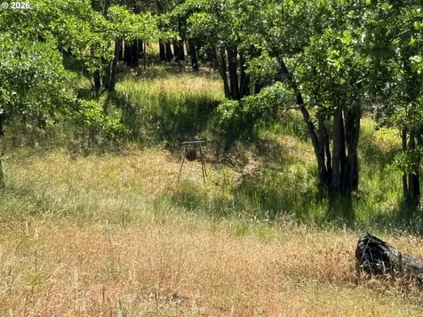 238 Chisholm Road Goldendale WA 98620