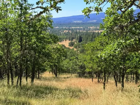 238 Chisholm Road Goldendale WA 98620