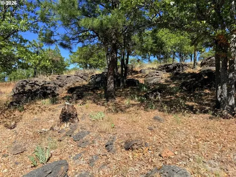 238 Chisholm Road Goldendale WA 98620