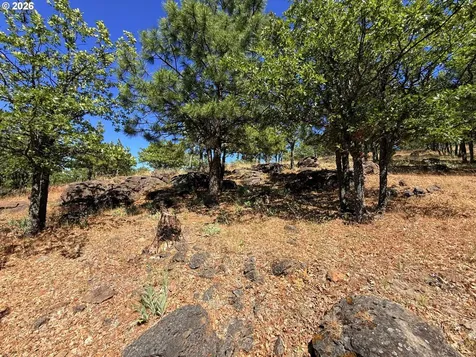 238 Chisholm Road Goldendale WA 98620