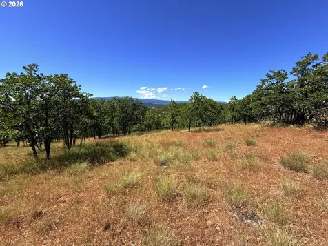 238 Chisholm Road Goldendale WA 98620