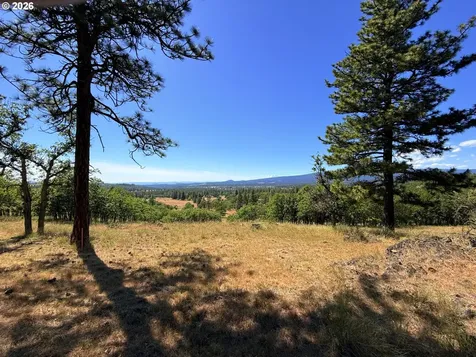 238 Chisholm Road Goldendale WA 98620