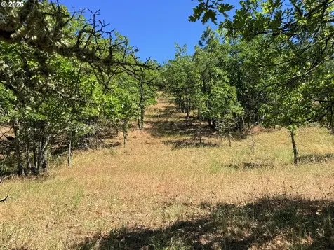 238 Chisholm Road Goldendale WA 98620