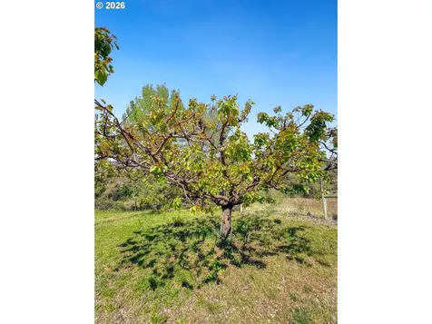 41473 Orchard View Road Kimberly OR 97848