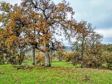 1104 Rio Nes Lane Roseburg OR 97470