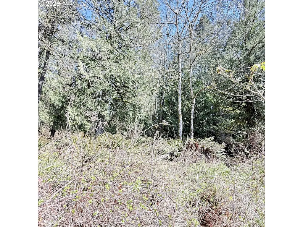 0000 N Louisiana Avenue Vernonia OR 97064