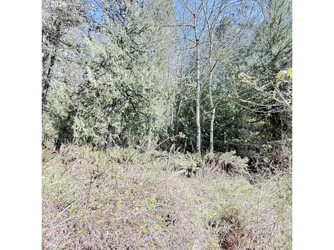 0000 N Louisiana Avenue Vernonia OR 97064