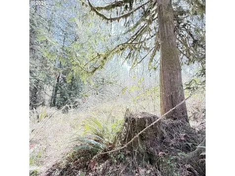 0000 N Louisiana Avenue Vernonia OR 97064