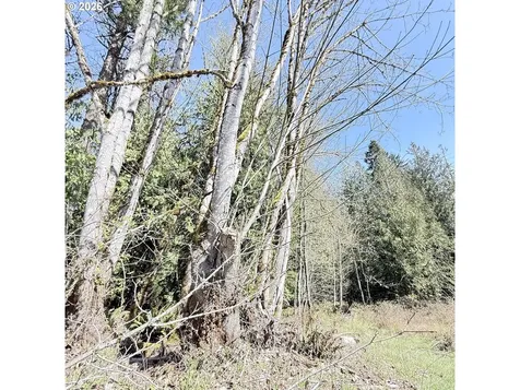 0000 N Louisiana Avenue Vernonia OR 97064
