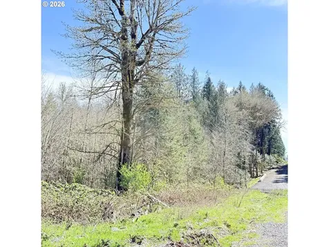 0000 N Louisiana Avenue Vernonia OR 97064
