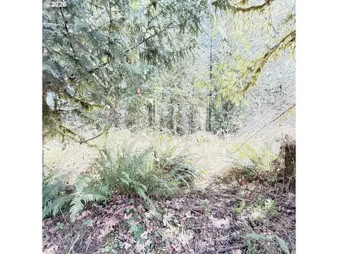 0000 N Louisiana Avenue Vernonia OR 97064
