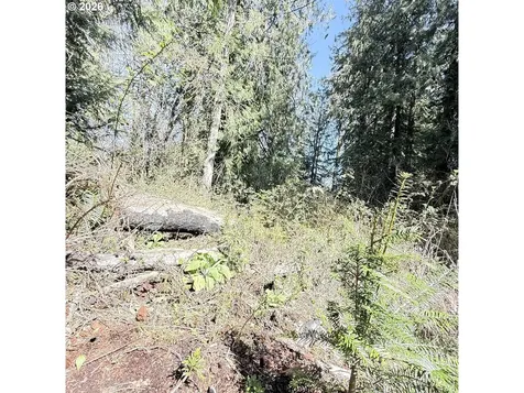 0000 N Louisiana Avenue Vernonia OR 97064