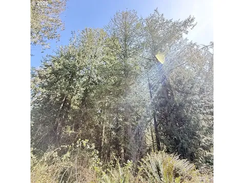 0000 N Louisiana Avenue Vernonia OR 97064