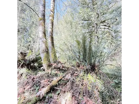 0000 N Louisiana Avenue Vernonia OR 97064