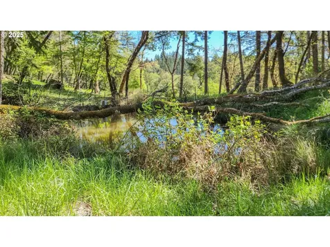 725 Forest View Lane Roseburg OR 97471