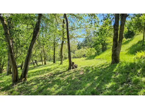 725 Forest View Lane Roseburg OR 97471