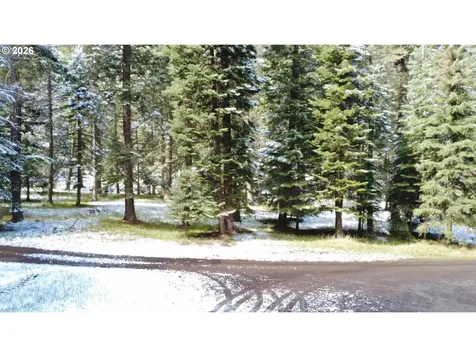 84730 Talmena Road Wallowa Lake OR 97846