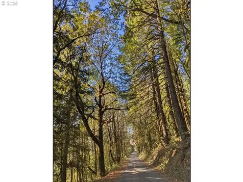 23999 NE Guenther Road Hillsboro OR 97123