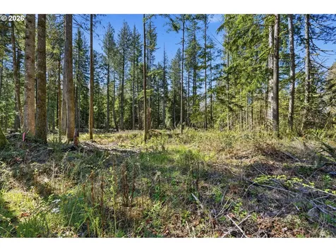 57214 E Marmot Road Sandy OR 97055