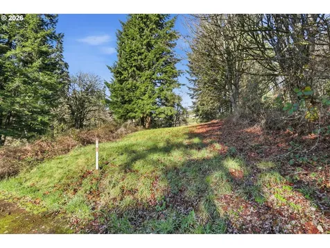 0 Feather Ridge Drive Kalama WA 98625