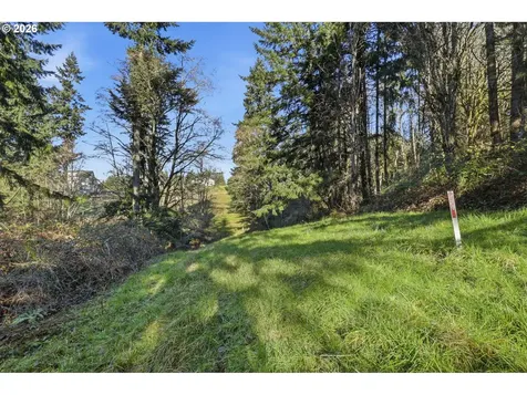 0 Feather Ridge Drive Kalama WA 98625