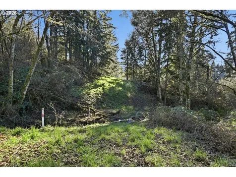 0 Feather Ridge Drive Kalama WA 98625