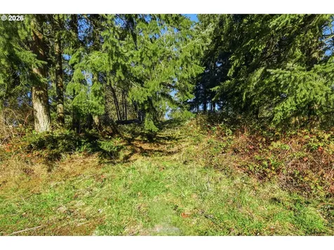 0 Feather Ridge Drive Kalama WA 98625