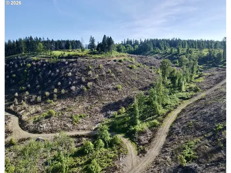 S Ellis Road Molalla OR 97038