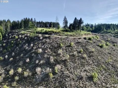 S Ellis Road Molalla OR 97038