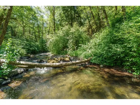 145 Wooden Bridge Road Kalama WA 98625