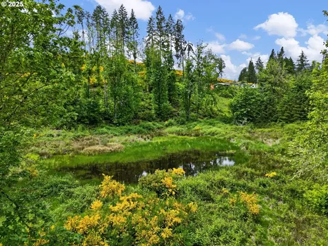 1442 Territorial Highway Cottage Grove OR 97424