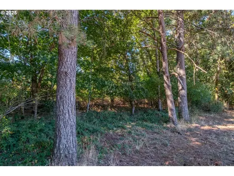 4828 Shade Tree Lane SE Turner OR 97392