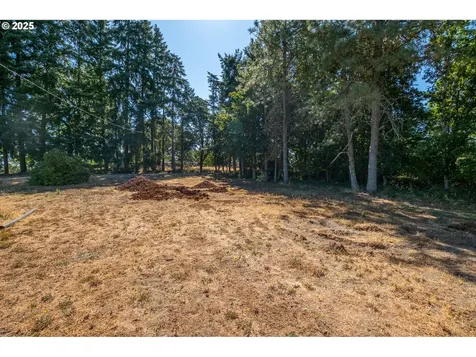 4828 Shade Tree Lane SE Turner OR 97392