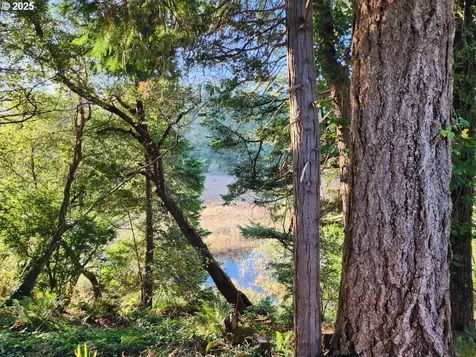 2605 Port Orford Loop Road Port Orford OR 97465